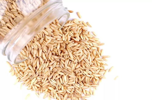 谷物新食尚 告别单调燕麦粥，花样吃法营养加倍